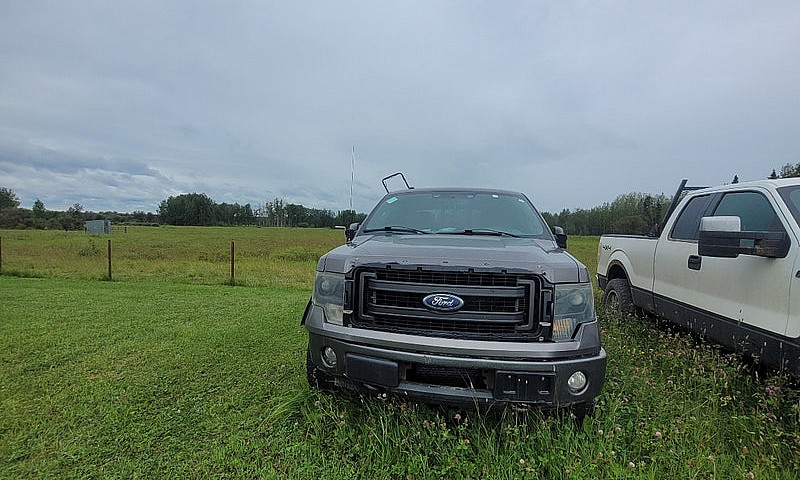 2013 Ford F150 Ecobo...