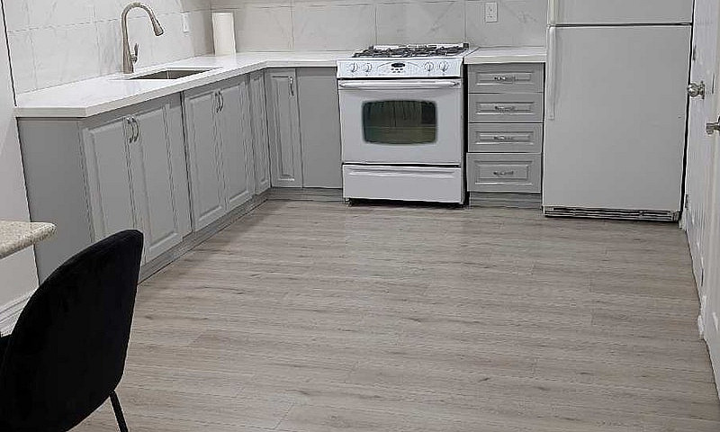 Newly Renovated 1 Be...