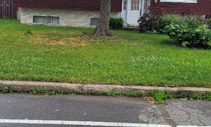House For Rent...