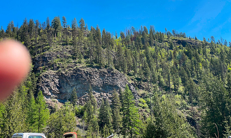 295 Secluded Acres W...
