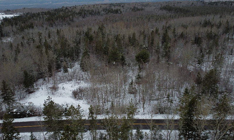 9 Acre Private Build...