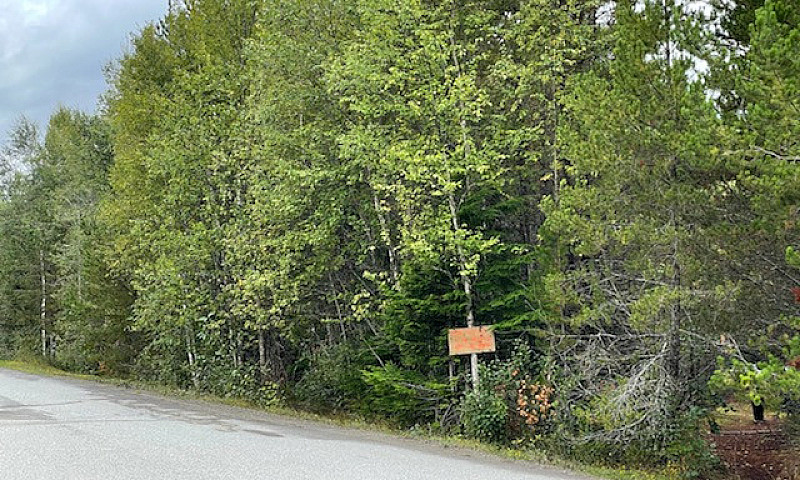 Land For Sale Minute...