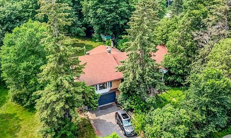 Detached House In La...
