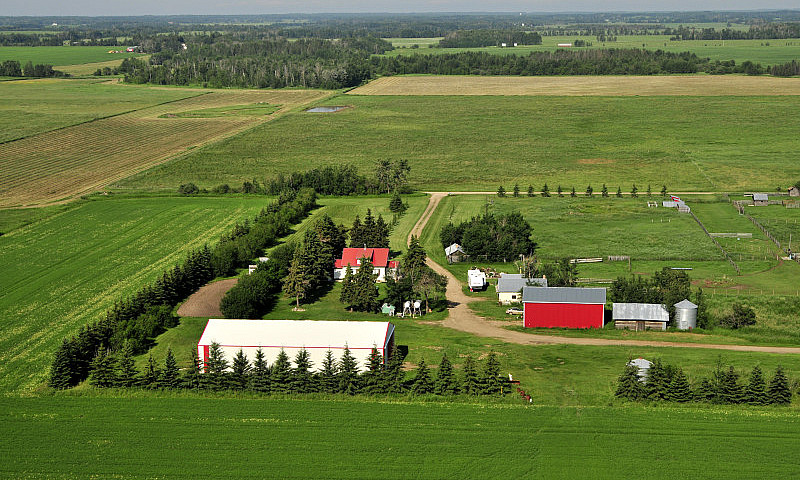 Farm For Sale...