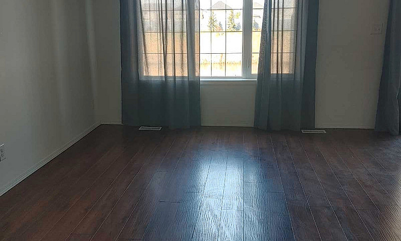 House For Rent Bridg...