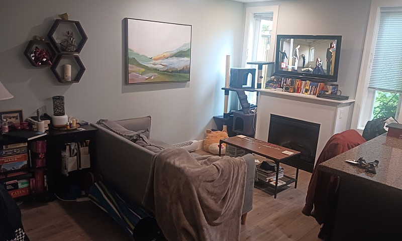 1 Bedroom 2-Level Fu...