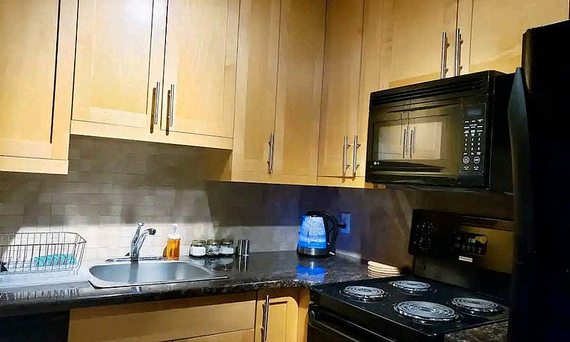 Elegant Furnished St...