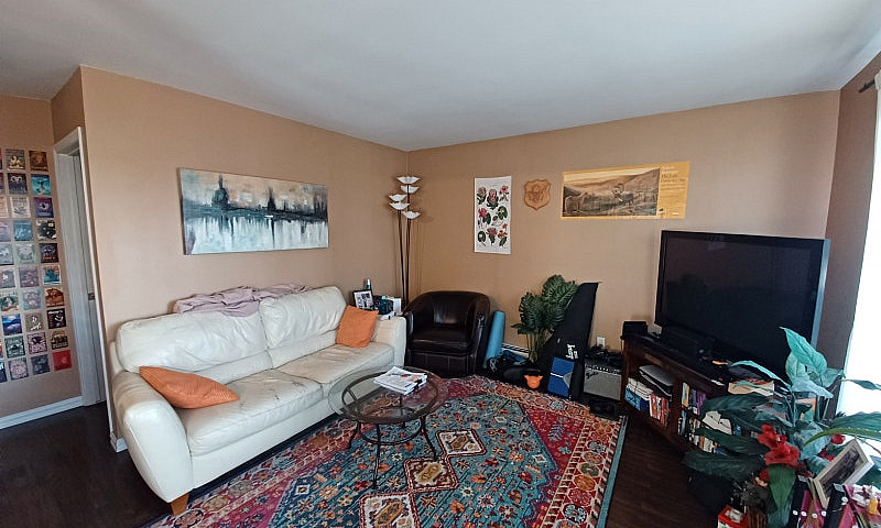 Fully Furnished 1 Be...
