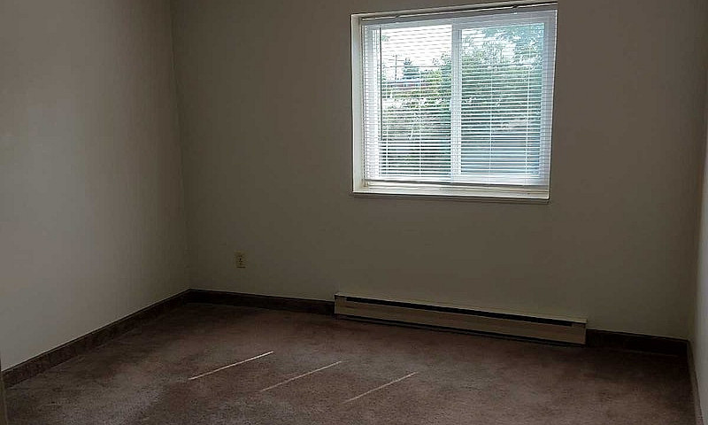 1 Bedroom Apartment ...