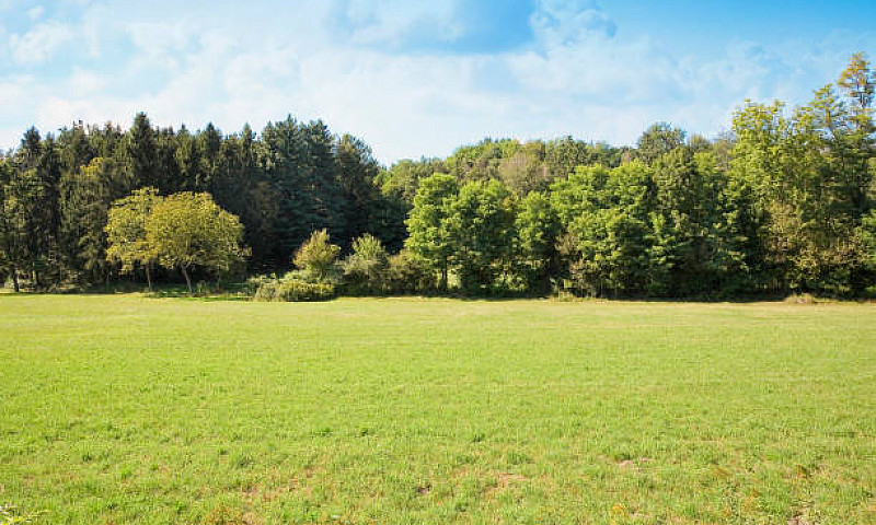 Wanted: Vacant Land ...