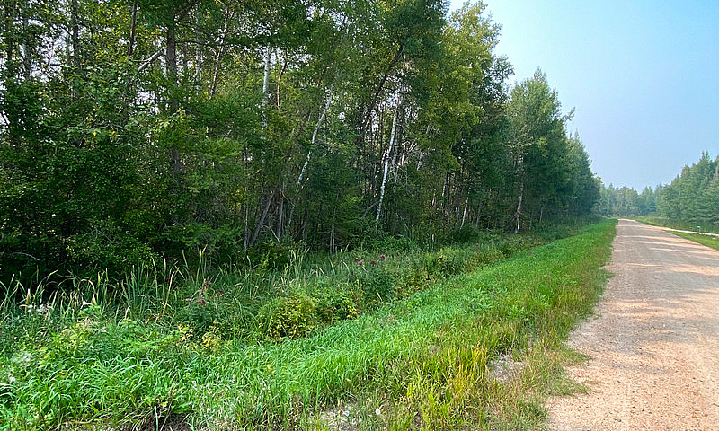20 Acres Of Pure For...