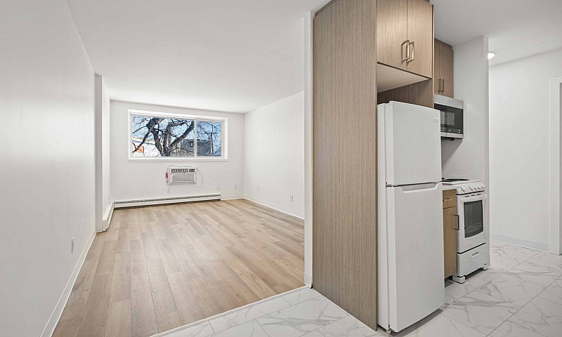 Newly Renovated 1 Be...