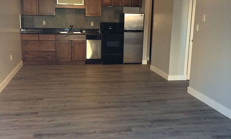 One Bedroom  Condo/A...