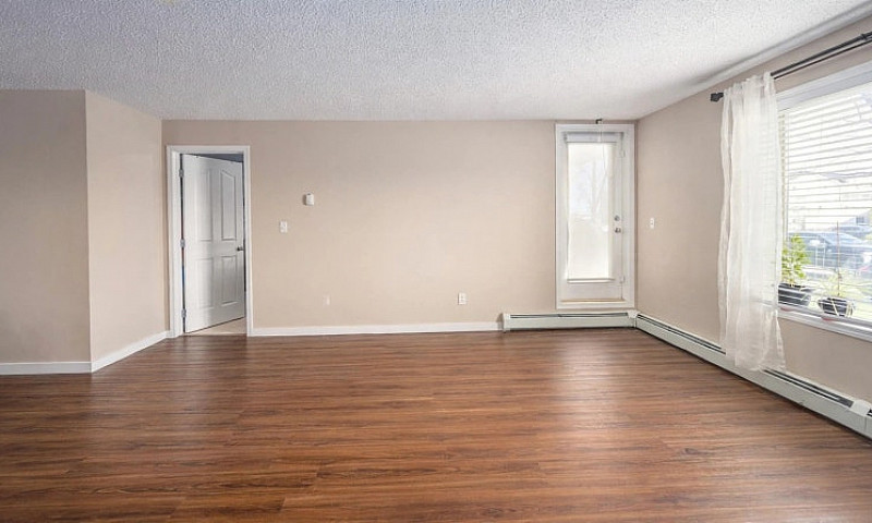 2 Bed 2 Bath Main Fl...