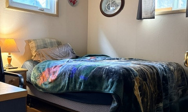 Bachelor Basement Su...