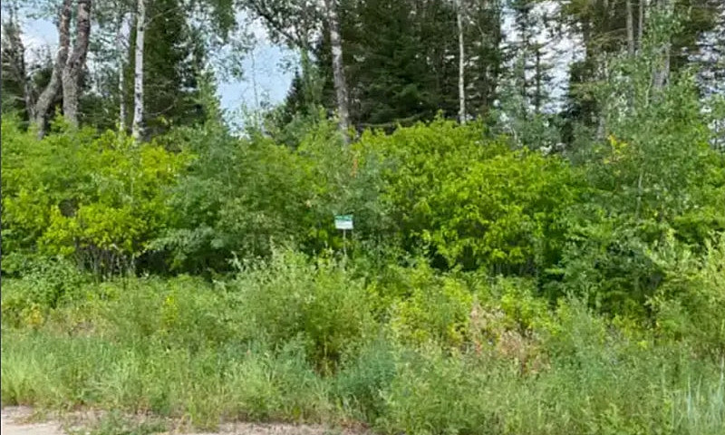 Waterfront Lot On La...