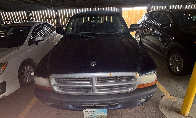 2004 Dodge Dakota Qu...