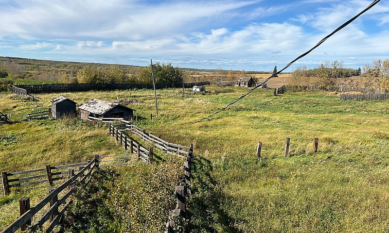 50 Acre Future...
