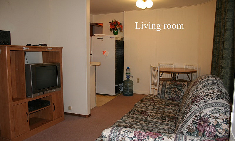 *1 Bedroom Basement ...