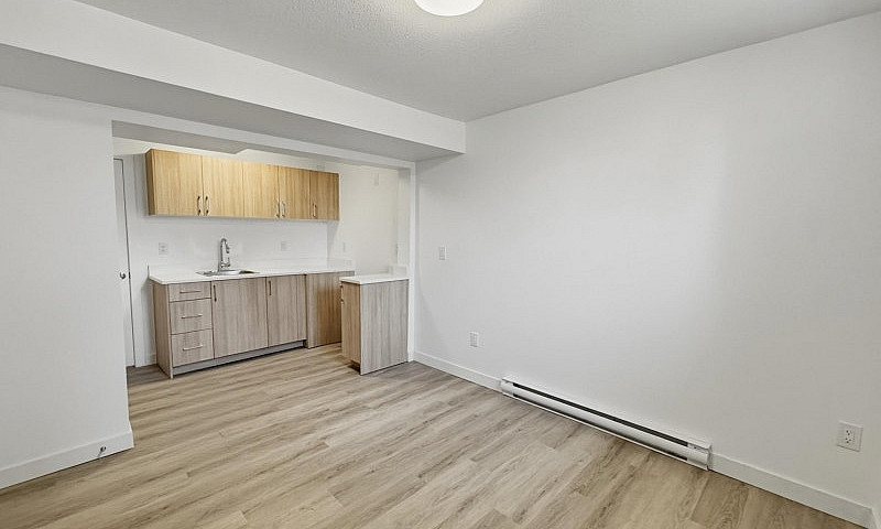 Bright & New 1 Bed +...