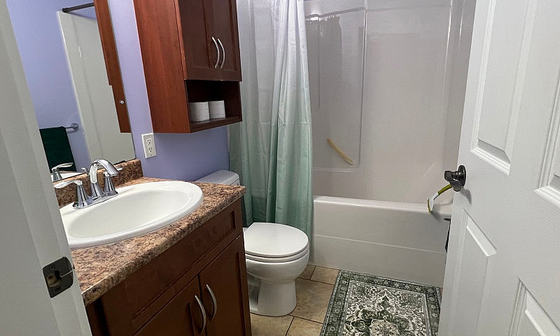 Fully Furnished Apar...