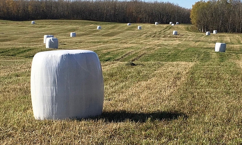 70 Acres For Sale...