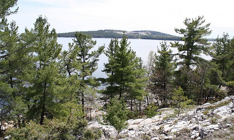 Waterfront Acreage G...