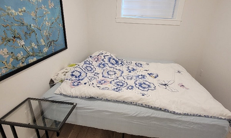 2 Bed - 1 Bath Basem...
