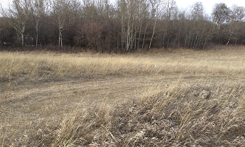 Acreage Land For Sal...