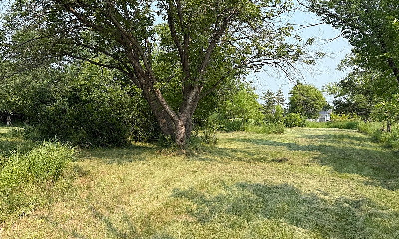 Acreage For Sale...
