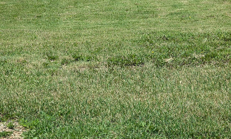 Land For Sale...