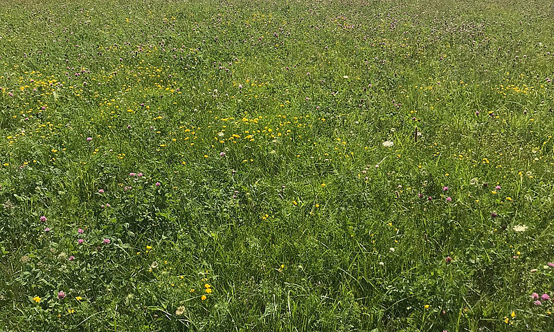 Land For Sale ...