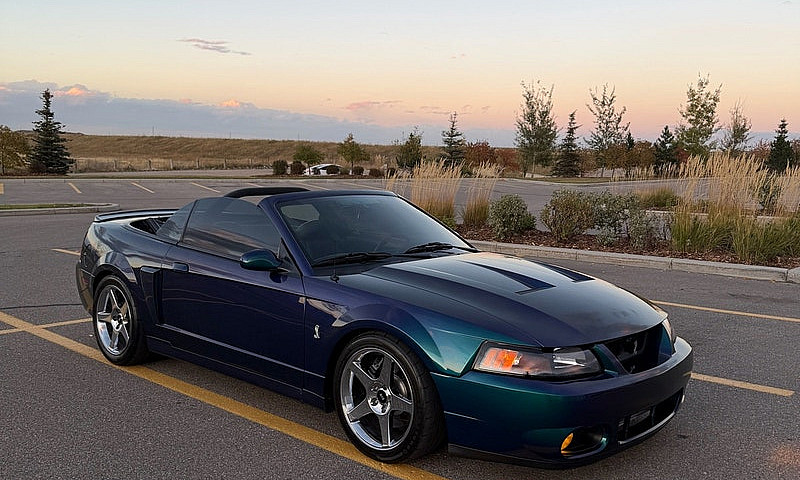 2004 Ford Mustang Co...