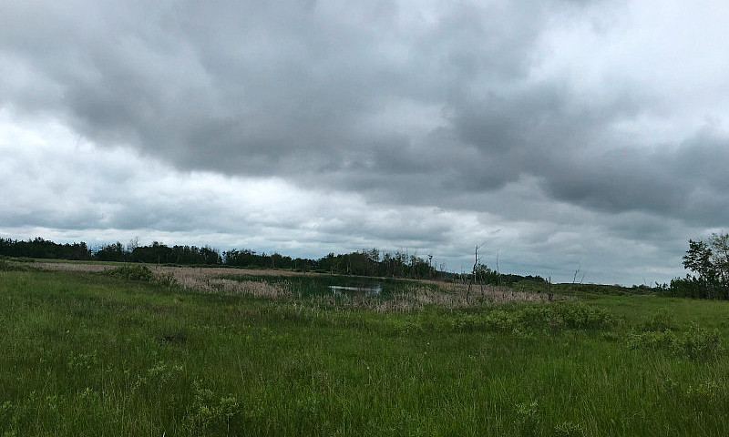 Land For Sale...