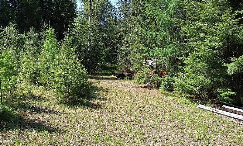 20 Acres, Burton Bri...