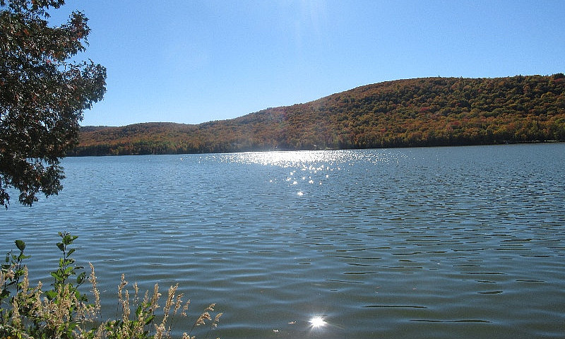 Terrain À Vendre Lac...