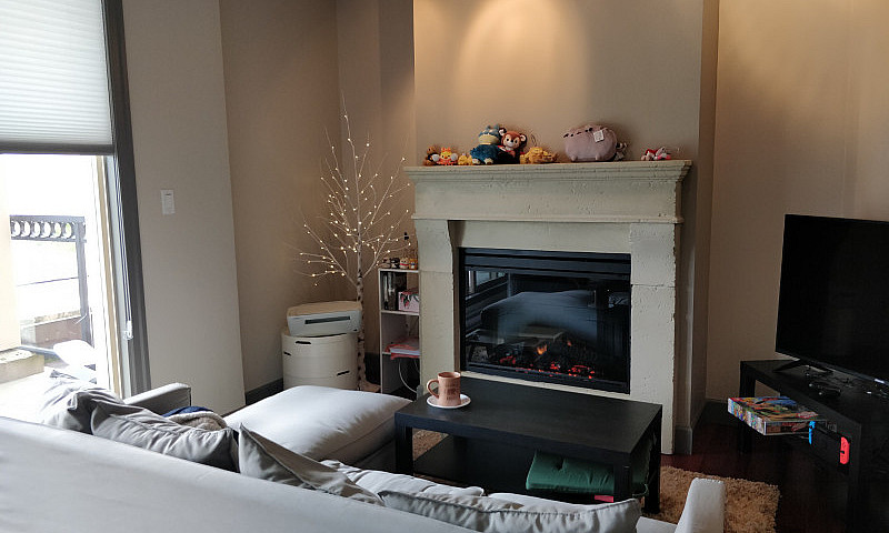 Furnished One Bedroo...