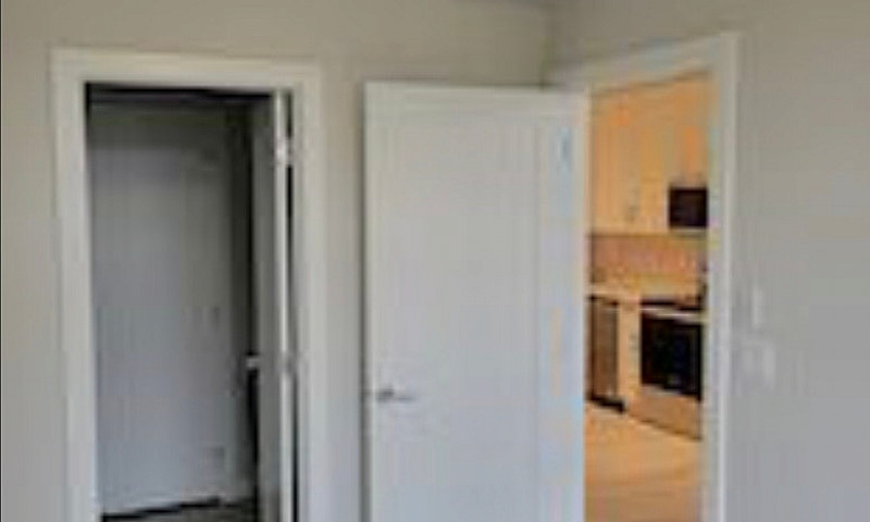 Luxury 1 Bedroom Con...