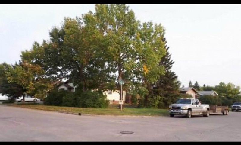 Serviced Lot For Sal...