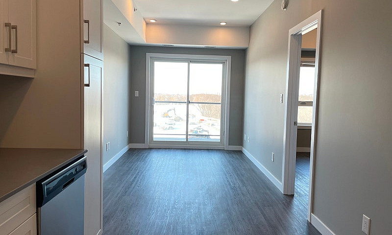 Modern 1-Br Apartmen...