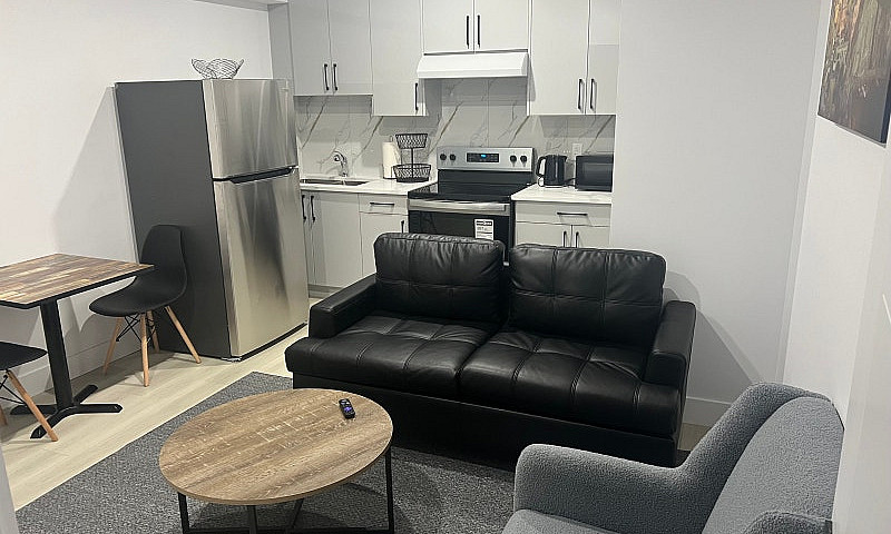 3 Bedroom Basement S...