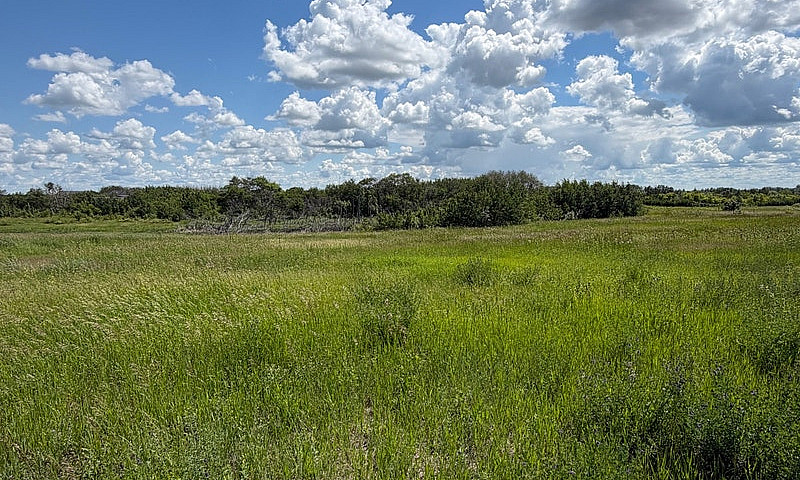Saskatoon Acreage Lo...