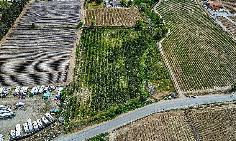 7479 45 St, Osoyoos,...