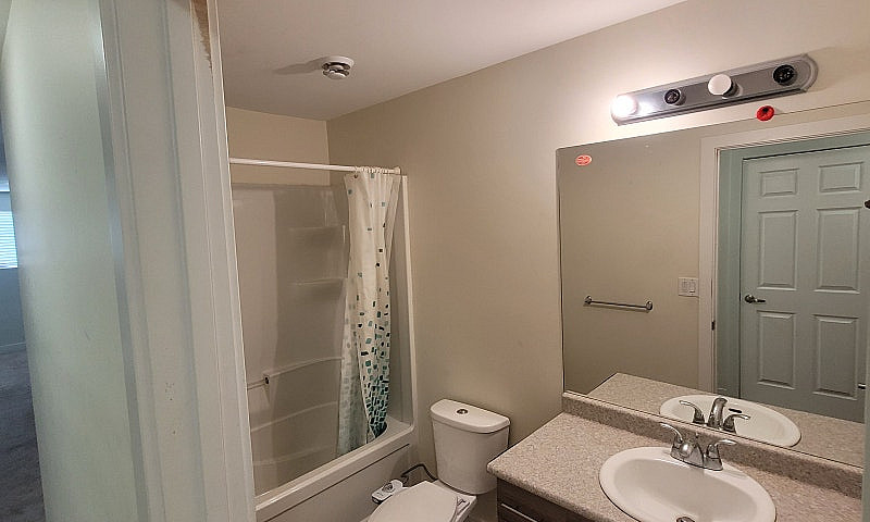 Basement For Rent...