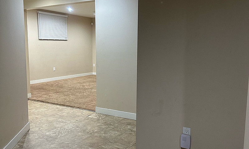 Basement For Rent In...