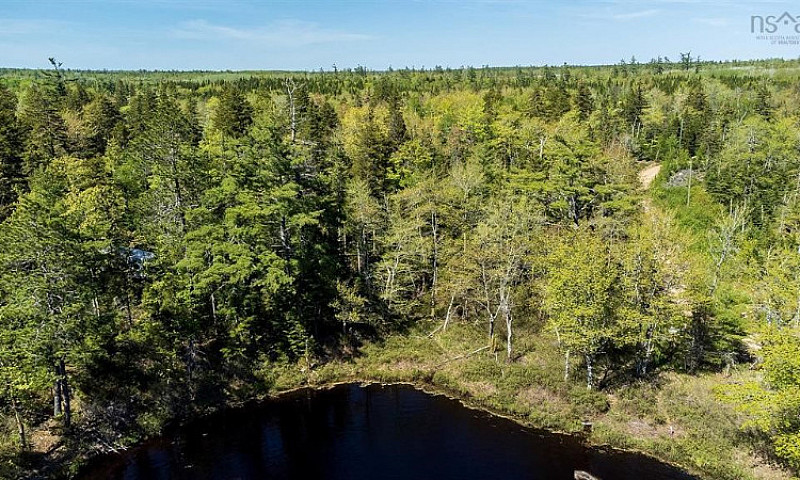1.54 Acre Lot On Bea...