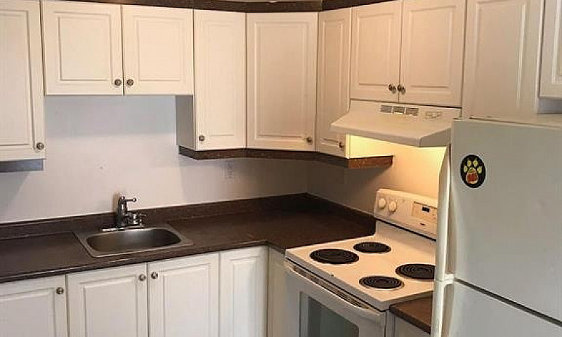 Appartment For Rent...