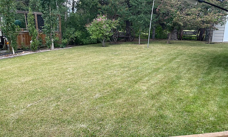 0.095 Acre Vacant Lo...