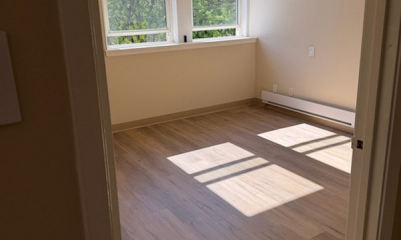 Apartment For Rent C...