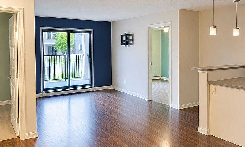 Renting My Beautiful...